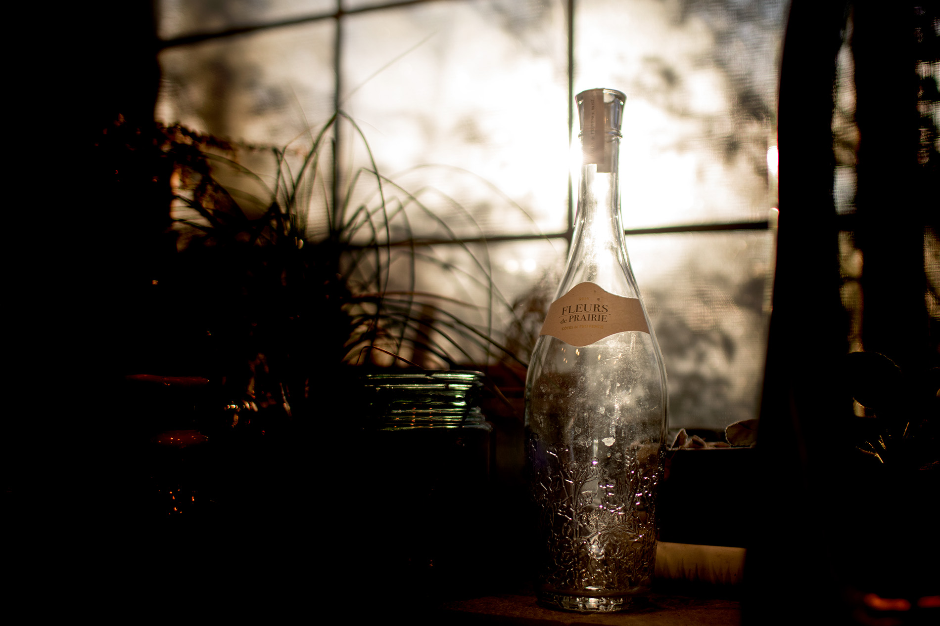 Austin Texas Family Photographer_9195